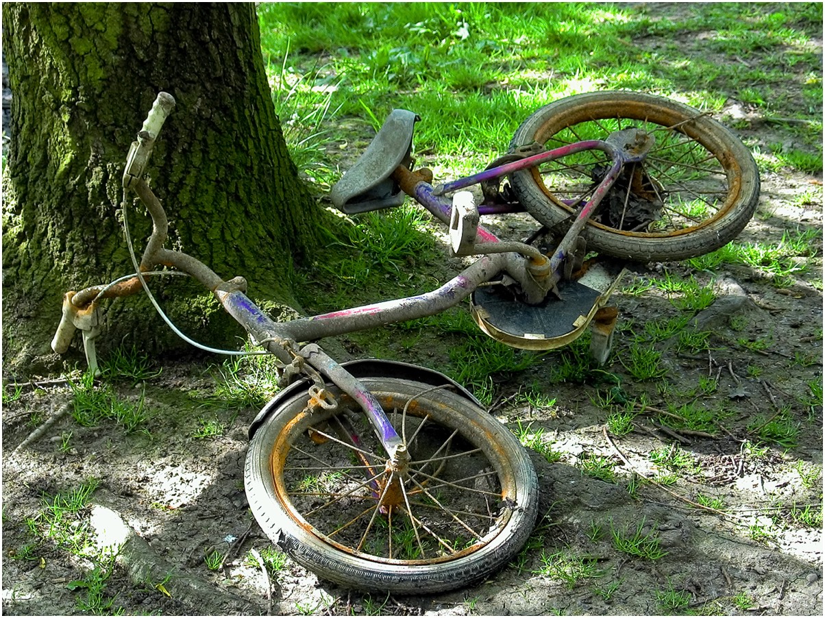 Abandoned bike on parkland